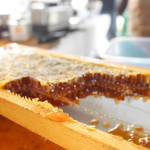 honey on comb